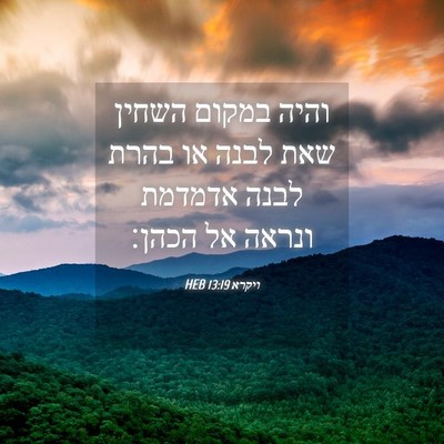 Picture 04 - ויקרא 13:19 HEB - והיה במקום השחין שאת לבנה - Bible Verse Picture