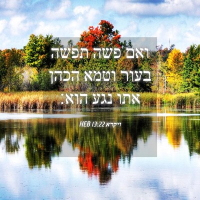 Picture 04 - ויקרא 13:22 HEB - ואם פשה תפשה בעור וטמא הכהן - Bible Verse Picture