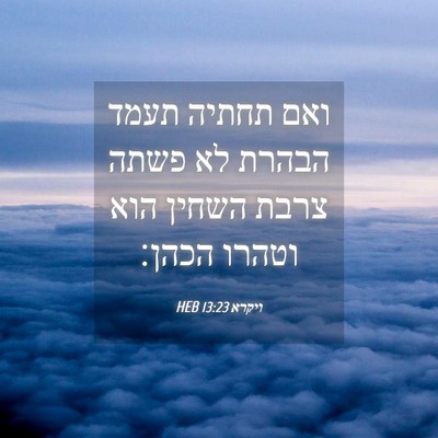 Picture 04 - ויקרא 13:23 HEB - ואם תחתיה תעמד הבהרת לא - Bible Verse Picture