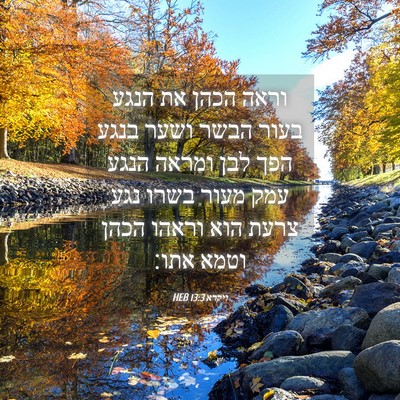 Picture 04 - ויקרא 13:3 HEB - וראה הכהן את הנגע בעור הבשר - Bible Verse Picture