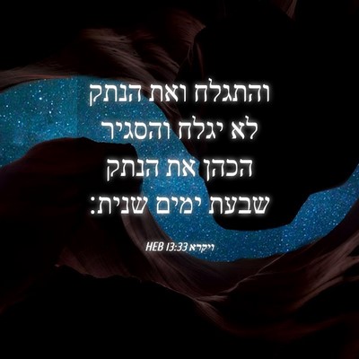 Picture 04 - ויקרא 13:33 HEB - והתגלח ואת הנתק לא יגלח - Bible Verse Picture