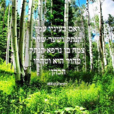 Picture 04 - ויקרא 13:37 HEB - ואם בעיניו עמד הנתק ושער - Bible Verse Picture