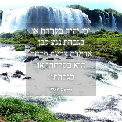 Picture 04 - ויקרא 13:42 HEB - וכי יהיה בקרחת או בגבחת נגע - Bible Verse Picture