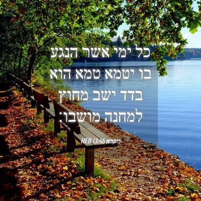 Picture 04 - ויקרא 13:46 HEB - כל ימי אשר הנגע בו יטמא טמא - Bible Verse Picture