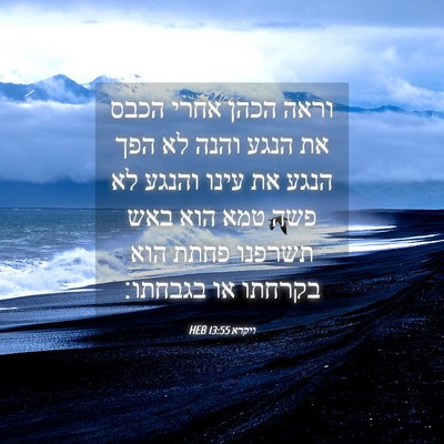 Picture 04 - ויקרא 13:55 HEB - וראה הכהן אחרי הכבס את הנגע - Bible Verse Picture