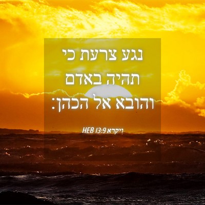 Picture 04 - ויקרא 13:9 HEB - נגע צרעת כי תהיה באדם והובא - Bible Verse Picture