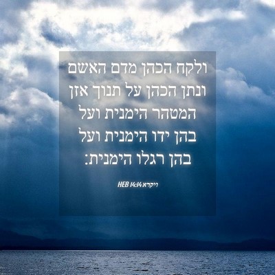 Picture 04 - ויקרא 14:14 HEB - ולקח הכהן מדם האשם ונתן - Bible Verse Picture