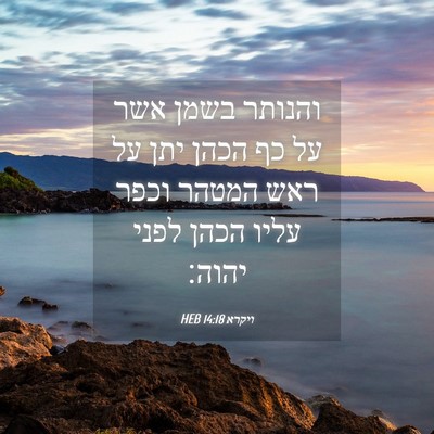 Picture 04 - ויקרא 14:18 HEB - והנותר בשמן אשר על כף הכהן - Bible Verse Picture