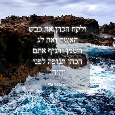 Picture 04 - ויקרא 14:24 HEB - ולקח הכהן את כבש האשם ואת - Bible Verse Picture
