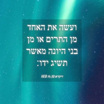 Picture 04 - ויקרא 14:30 HEB - ועשה את האחד מן התרים או מן - Bible Verse Picture