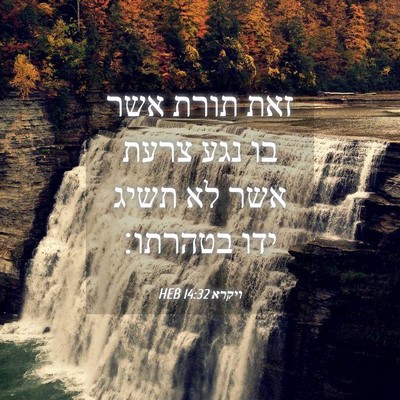 Picture 04 - ויקרא 14:32 HEB - זאת תורת אשר בו נגע צרעת - Bible Verse Picture
