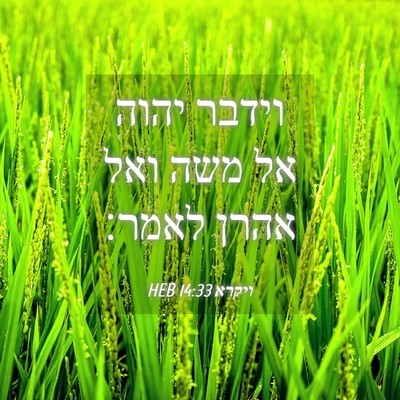 Picture 04 - ויקרא 14:33 HEB - וידבר יהוה אל משה ואל אהרן - Bible Verse Picture