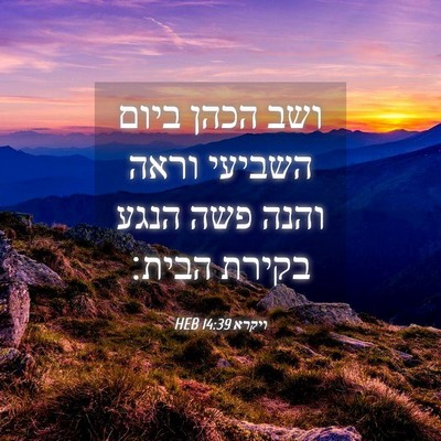 Picture 04 - ויקרא 14:39 HEB - ושב הכהן ביום השביעי וראה - Bible Verse Picture