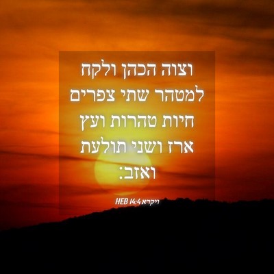Picture 04 - ויקרא 14:4 HEB - וצוה הכהן ולקח למטהר שתי - Bible Verse Picture