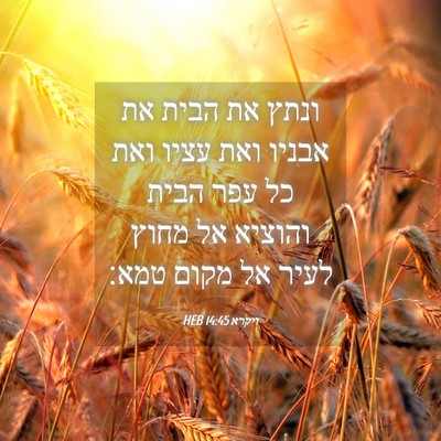 Picture 04 - ויקרא 14:45 HEB - ונתץ את הבית את אבניו ואת - Bible Verse Picture