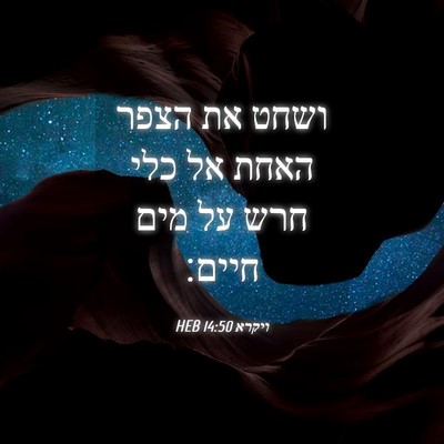 Picture 04 - ויקרא 14:50 HEB - ושחט את הצפר האחת אל כלי - Bible Verse Picture