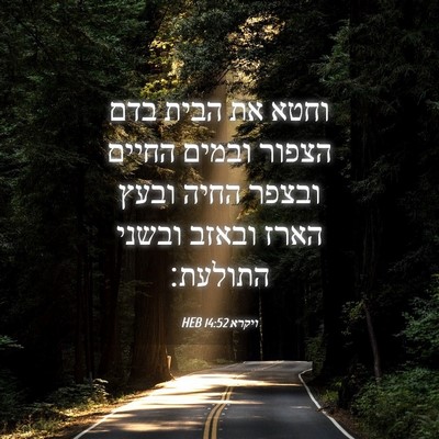 Picture 04 - ויקרא 14:52 HEB - וחטא את הבית בדם הצפור - Bible Verse Picture