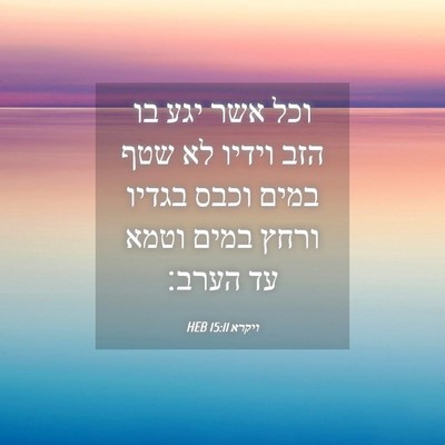 Picture 04 - ויקרא 15:11 HEB - וכל אשר יגע בו הזב וידיו לא - Bible Verse Picture