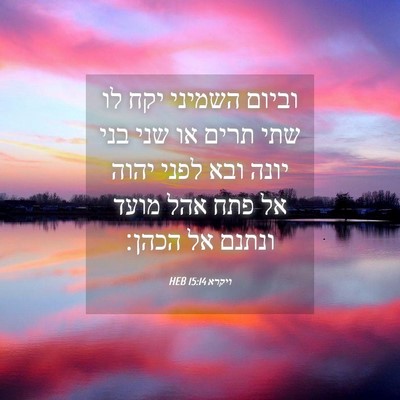 Picture 04 - ויקרא 15:14 HEB - וביום השמיני יקח לו שתי - Bible Verse Picture