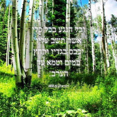 Picture 04 - ויקרא 15:22 HEB - וכל הנגע בכל כלי אשר תשב - Bible Verse Picture