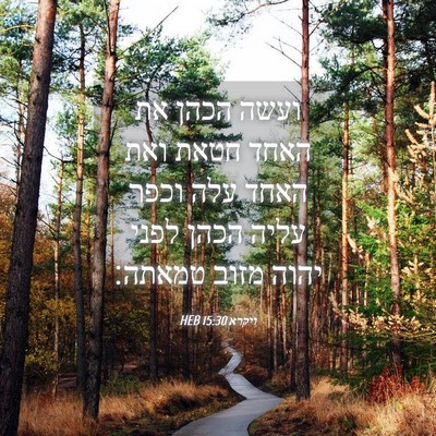 Picture 04 - ויקרא 15:30 HEB - ועשה הכהן את האחד חטאת ואת - Bible Verse Picture
