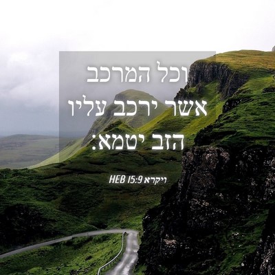Picture 04 - ויקרא 15:9 HEB - וכל המרכב אשר ירכב עליו הזב - Bible Verse Picture