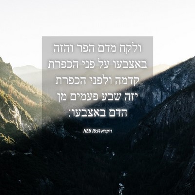 Picture 04 - ויקרא 16:14 HEB - ולקח מדם הפר והזה באצבעו על - Bible Verse Picture