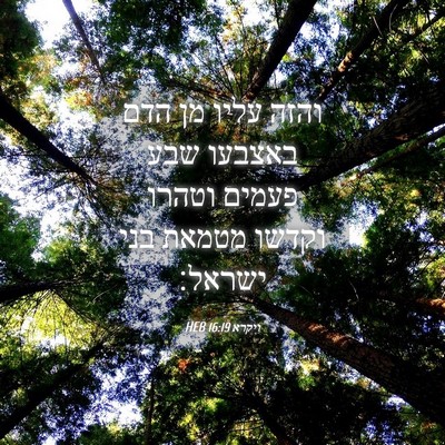 Picture 04 - ויקרא 16:19 HEB - והזה עליו מן הדם באצבעו שבע - Bible Verse Picture