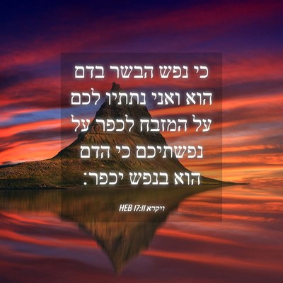 Picture 04 - ויקרא 17:11 HEB - כי נפש הבשר בדם הוא ואני - Bible Verse Picture