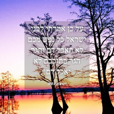 Picture 04 - ויקרא 17:12 HEB - על כן אמרתי לבני ישראל כל - Bible Verse Picture