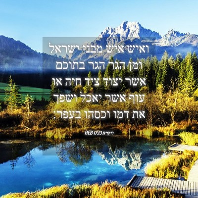 Picture 04 - ויקרא 17:13 HEB - ואיש איש מבני ישראל ומן הגר - Bible Verse Picture