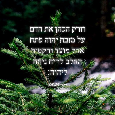 Picture 04 - ויקרא 17:6 HEB - וזרק הכהן את הדם על מזבח - Bible Verse Picture