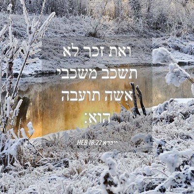 Picture 04 - ויקרא 18:22 HEB - ואת זכר לא תשכב משכבי אשה - Bible Verse Picture