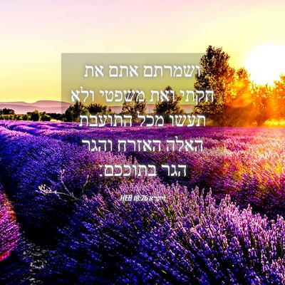 Picture 04 - ויקרא 18:26 HEB - ושמרתם אתם את חקתי ואת - Bible Verse Picture