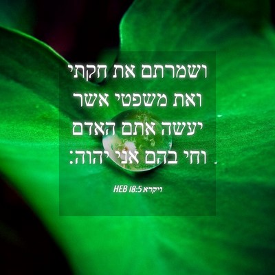 Picture 04 - ויקרא 18:5 HEB - ושמרתם את חקתי ואת משפטי - Bible Verse Picture