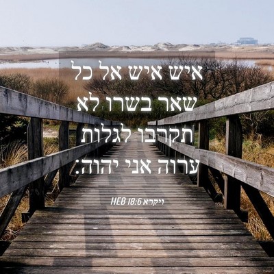 Picture 04 - ויקרא 18:6 HEB - איש איש אל כל שאר בשרו לא - Bible Verse Picture