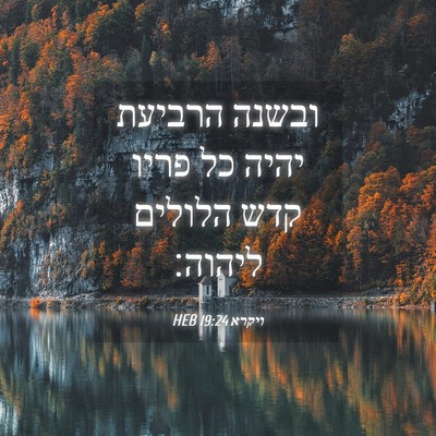 Picture 04 - ויקרא 19:24 HEB - ובשנה הרביעת יהיה כל פריו - Bible Verse Picture