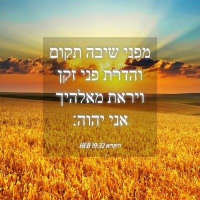 Picture 04 - ויקרא 19:32 HEB - מפני שיבה תקום והדרת פני - Bible Verse Picture