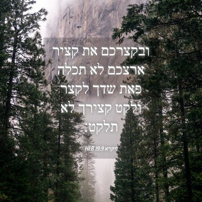 Picture 04 - ויקרא 19:9 HEB - ובקצרכם את קציר ארצכם לא - Bible Verse Picture