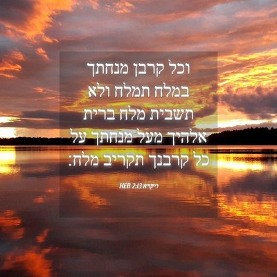 Picture 04 - ויקרא 2:13 HEB - וכל קרבן מנחתך במלח תמלח - Bible Verse Picture