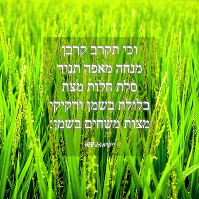 Picture 04 - ויקרא 2:4 HEB - וכי תקרב קרבן מנחה מאפה - Bible Verse Picture