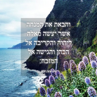 Picture 04 - ויקרא 2:8 HEB - והבאת את המנחה אשר יעשה - Bible Verse Picture