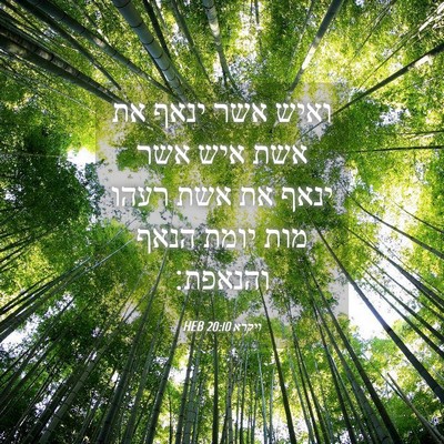 Picture 04 - ויקרא 20:10 HEB - ואיש אשר ינאף את אשת איש - Bible Verse Picture