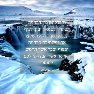 Picture 04 - ויקרא 20:25 HEB - והבדלתם בין הבהמה הטהרה - Bible Verse Picture