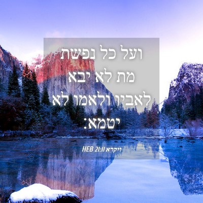 Picture 04 - ויקרא 21:11 HEB - ועל כל נפשת מת לא יבא לאביו - Bible Verse Picture