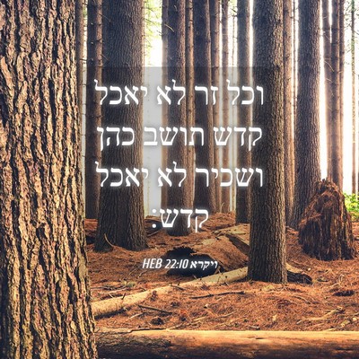 Picture 04 - ויקרא 22:10 HEB - וכל זר לא יאכל קדש תושב כהן - Bible Verse Picture