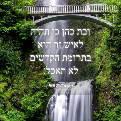 Picture 04 - ויקרא 22:12 HEB - ובת כהן כי תהיה לאיש זר הוא - Bible Verse Picture