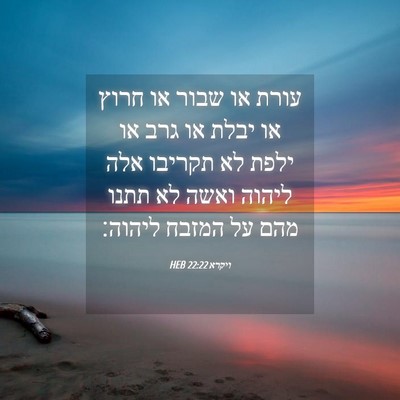 Picture 04 - ויקרא 22:22 HEB - עורת או שבור או חרוץ או - Bible Verse Picture