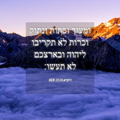 Picture 04 - ויקרא 22:24 HEB - ומעוך וכתות ונתוק וכרות לא - Bible Verse Picture