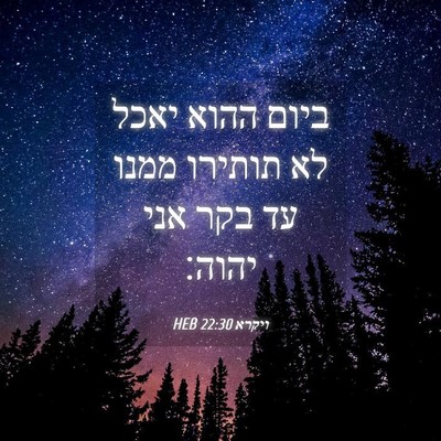 Picture 04 - ויקרא 22:30 HEB - ביום ההוא יאכל לא תותירו - Bible Verse Picture